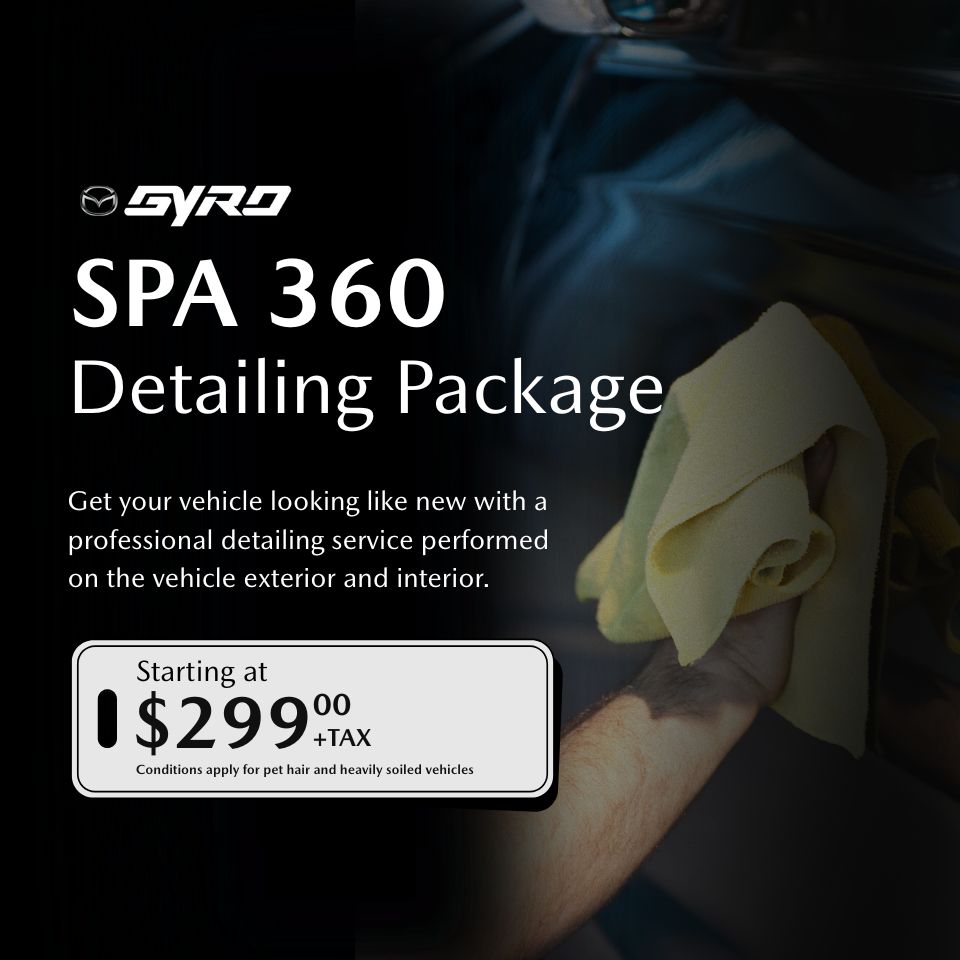 SPA 360 Detailing Package